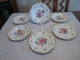 Antique Absolute 6 Stunning Dresden Lunch Plates - S&g Gump Co,  San Francisco