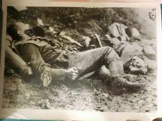 Group of 5 Vintage WW2 press photos - Sicily combat,  dead in streets some captions 2
