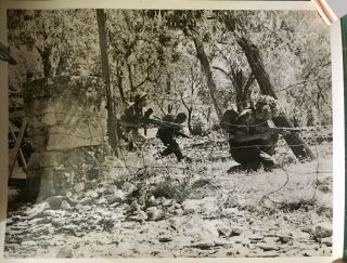 Group of 5 Vintage WW2 press photos - Sicily combat,  dead in streets some captions 4