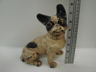 Antique Authentic Hubley Cast Iron French Bulldog Doorstop w/ Paint 10