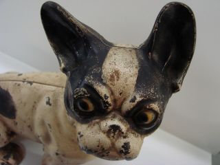 Antique Authentic Hubley Cast Iron French Bulldog Doorstop w/ Paint 2