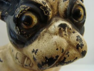 Antique Authentic Hubley Cast Iron French Bulldog Doorstop w/ Paint 3