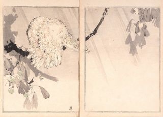 19th Century Watanabe Seitei (shotei) Woodblock Print (read Carefully)