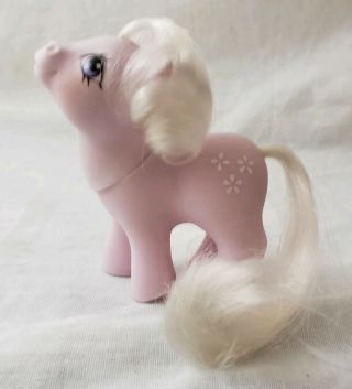 Baby Blossom My Little Pony 1984 G1 Purple W/ White Mane & Flowers