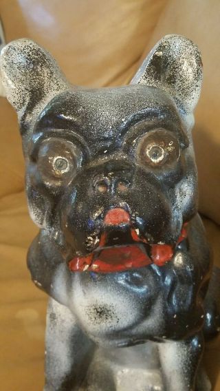 Vintage French Bulldog Chalkware Statue Figurine Carnival Chalk Ware Large 18”