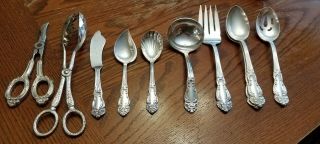 Reed & Barton Tiger Lily Silver - Plated 10 Piece Serving Set