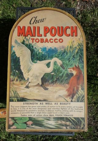 Vintage Mail Pouch Chewing Tobacco Cardboard Store Advertising Sign 1