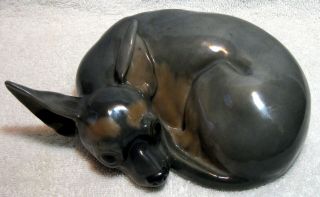 Rare Royal Copenhagen Porcelain Curled Chihuahua Figurine 2627
