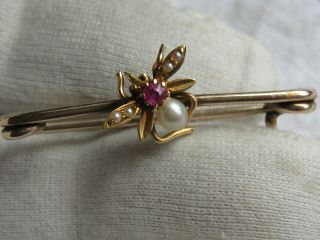 Antique Victorian 9 Carat Gold Seed Pearl & Ruby Bug Brooch
