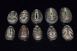 Collect 10pc Chinese Bronze Turtle Shell Shape Coin Old Dynasty Antique Currency