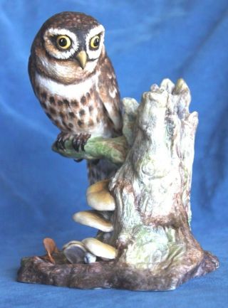 Large Vintage Boehm Porcelain Little Owl 61653 Limited Edition Bird Figurine