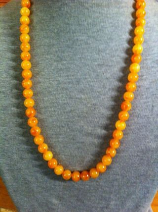 Gorgeous Vintage Egg Yolk Butterscotch Baltic Amber Beads Necklace