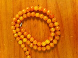 Gorgeous Vintage Egg Yolk Butterscotch Baltic Amber Beads Necklace 5