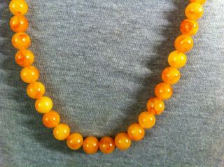 Gorgeous Vintage Egg Yolk Butterscotch Baltic Amber Beads Necklace 6