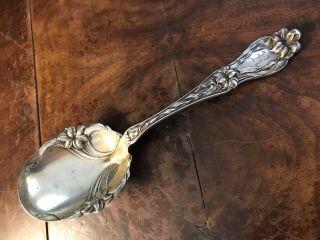 Antique Frank M Whiting Lily Sterling Silver Serving Spoon 1910 8.  25” 91g