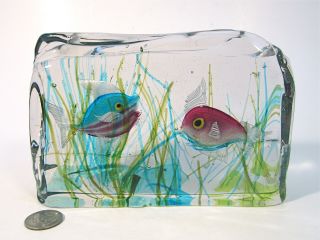 Vtg Cenedese Italian Murano Art Glass Fish Aquarium Block Sculpture Paperweight