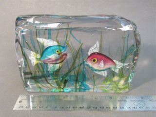 Vtg CENEDESE Italian Murano Art Glass FISH AQUARIUM BLOCK Sculpture Paperweight 4