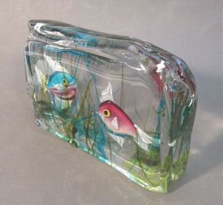 Vtg CENEDESE Italian Murano Art Glass FISH AQUARIUM BLOCK Sculpture Paperweight 5