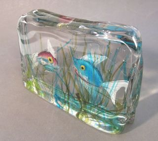 Vtg CENEDESE Italian Murano Art Glass FISH AQUARIUM BLOCK Sculpture Paperweight 6