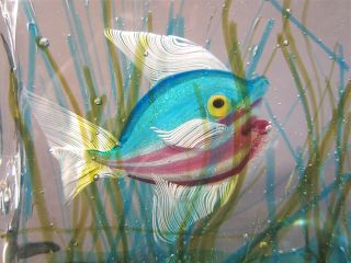 Vtg CENEDESE Italian Murano Art Glass FISH AQUARIUM BLOCK Sculpture Paperweight 8