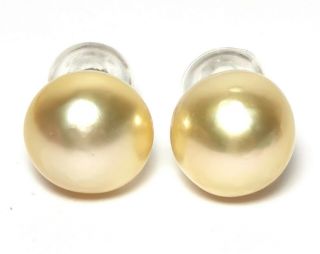 Mirror Luster 14k White Gold Round South Sea 13.  8mm Gold Pearl Stud Earrings