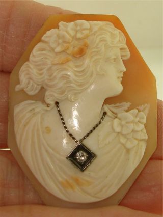 Large Antique Art Nouveau Carved Shell Cameo With Mine Cut Diamond
