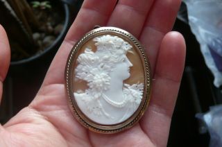 Vintage Shell Cameo And Silver Gilt Brooch And Pendant