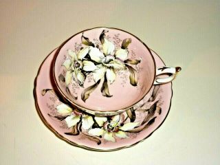 Vintage Double Paragon Tea Cup & Saucer With Large Flowers In Pink Colors