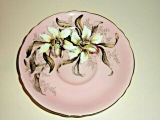 VINTAGE DOUBLE PARAGON TEA CUP & SAUCER WITH LARGE FLOWERS IN PINK COLORS 3