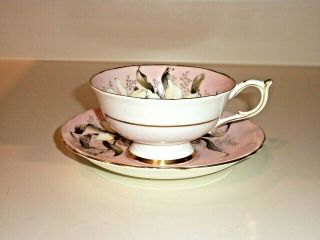 VINTAGE DOUBLE PARAGON TEA CUP & SAUCER WITH LARGE FLOWERS IN PINK COLORS 5