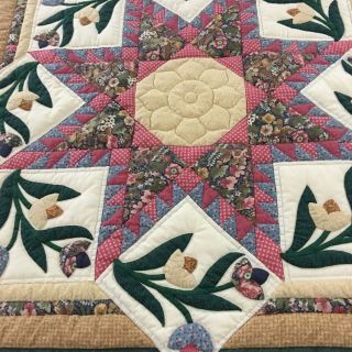 OMG GORGEOUS VINTAGE HANDMADE 8 POINT FEATHER STAR W APPLIQUÉ FLOWERS QUILT 2