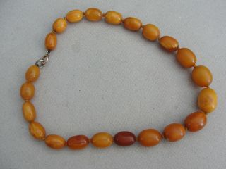 Vintage Egg Yolk Butterscotch Amber Necklace - 30.  4g.  Good Size Beads