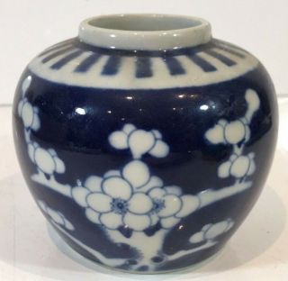 Antique Chinese 19th Century Qing Period Blue White Ginger Jar Prunus Flower 20