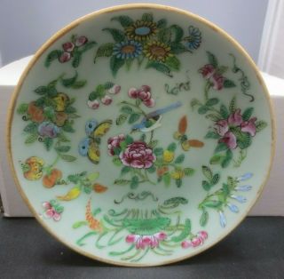 Famille Verte Porcelain Plate Decorated With Butterflies/moths Flowers Bird