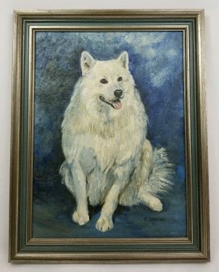 Vintage Framed Oil On Canvas Painting Portrait Of White Dog Signed 14 " X 18 "