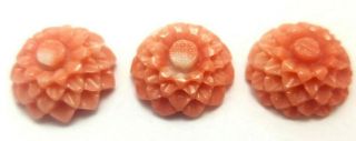 Antique Vintage Undyed Geniuine Carved Flower Coral Stone Drilled J312