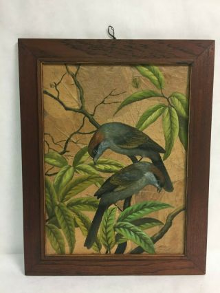 Vintage Bird Study Antique Oil Painting On Tree Leaves Signed Lert 16 " X 20 "