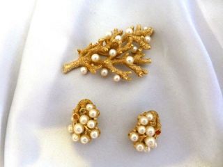 Vintage Crown Trifari Under The Sea Coral Branch & Pearl Brooch & Earrings Set