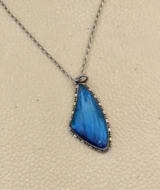Sterling Silver Blue Morpho Menelaus Butterfly Wing Necklace