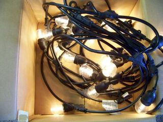 FEIT Electric 72031 LED String Lights Vtg White & Color - Changing 48 ' (No Remote) 2