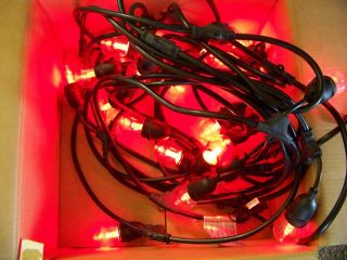 FEIT Electric 72031 LED String Lights Vtg White & Color - Changing 48 ' (No Remote) 3