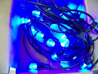 FEIT Electric 72031 LED String Lights Vtg White & Color - Changing 48 ' (No Remote) 4