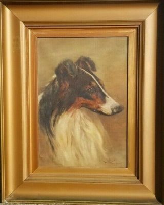 Antique 1916 Oil Painting Of Collie Dog Portrait Artist Signed Lowe? Victorian