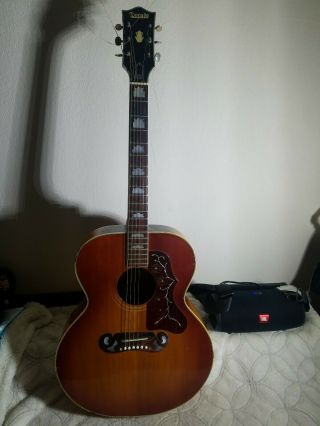 Vintage Dorado 5967 Acoustic 6 String Guitar Rare