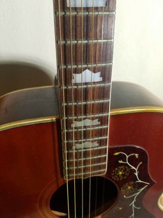 Vintage Dorado 5967 Acoustic 6 String Guitar RARE 5