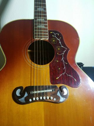 Vintage Dorado 5967 Acoustic 6 String Guitar RARE 7