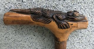Rare Antique Folk Art Carved Wood Alligator Crocodile Walking Stick Cane