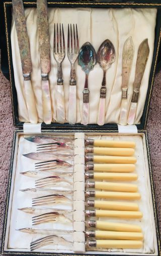 Antique Victorian Mother Of Pearl And Celluloid Handle Epns Etch Silverware