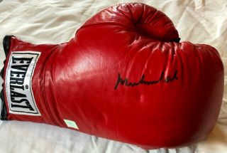 Muhammad Ali Autographed Red Everlast Vintage Glove Superstar Greetings