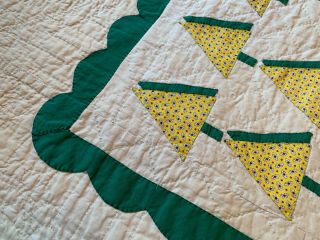 RARE 2 Vintage Hand Quilted,  Appliqued QUILTS 80 